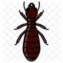 Insect Insects Entomology 아이콘