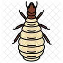 Insect Insects Entomology 아이콘