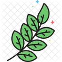 Mterpenes Terpenes Leaves Icon