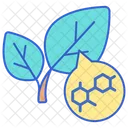 Terpenos Folhas Natureza Ícone