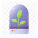 Terrarium Leaves Plant Icon