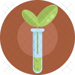 Test tube  Icon