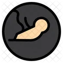 Baby Biology Embryo Icon