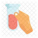 Chemist Woman Female Icon