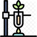 Test Tubes Biotechnology Plant Icon