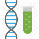 Teste de DNA  Ícone