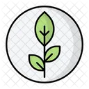 Teste de planta  Icon