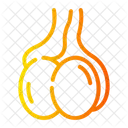 Testicle Internal Organ Icon