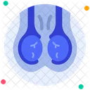 Testicle Icon