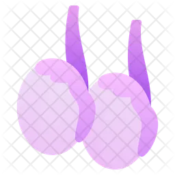 Testicles  Icon