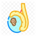 Cancer Testicular Hombre Icono