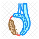 Testicular Cancer Urology Icon