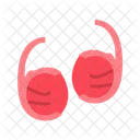 - testis Icon