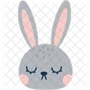 Tête de lapin  Icône