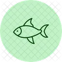 Peixe Tetra Peixe Tetra Animal De Estimacao Icon