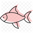 Pez Tetra Tetrapez Mascota Icono