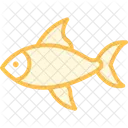 Pez Tetra Pez Neontetra Mascota Icono