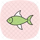 Pez Tetra Pez Neontetra Mascota Icono