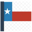 Texas Icon
