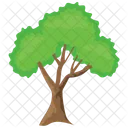 Texas Ash Tree  Icon