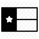 Texas Symbol