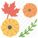 Thanksgiving Maple Leaf Icon