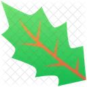 Thanksgiving Holiday Leaf Icon