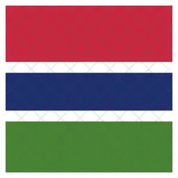 The Flag Icon