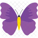 Theea Quereus Butterfly  Icon