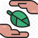 Therapy Medical Cure Icon