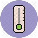 Thermometer Celsius Kelvin Icon