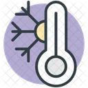 Thermometer Cold Snowflake Icon