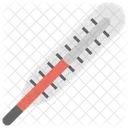 Thermometer Measuring Temperature Icon