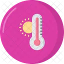 Thermometer Icon