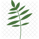 Thin Branch Tree Branch Branch Icon