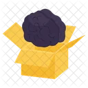 Think Outside The Box Mind Package Mind Box Icon