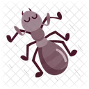 Ant Cartoon Ant Stickers Cute Ants Icon