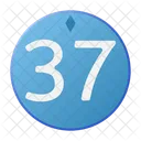Thirty Seven Coin Crystal Icon