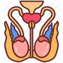 Thoracic Muscles Cage Rib Cage Icon