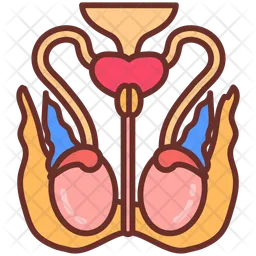 Thoracic muscles  Icon