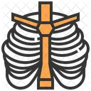 Thorax  Icon