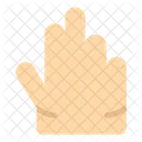 Three Fingers  Icon