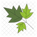 Leaves Plants Three Leaf Eco Friendly Sustainable Icono