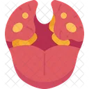 Throat Cancer Pharynx Icon