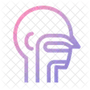 Otolaryngology Icon