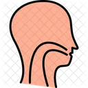 Throat Ent Esophagus Icon