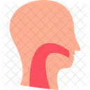 Throat Ent Esophagus Icon