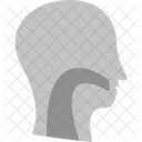Throat Ent Esophagus Icon