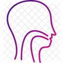 Throat Ent Esophagus Icon