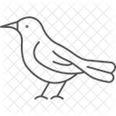 Thrush Bird Singing Icon
